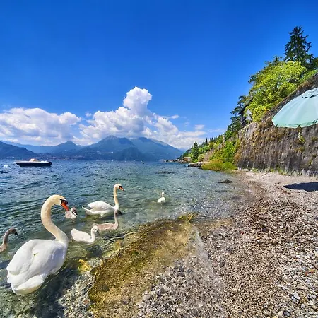 아파트 El Lavandee