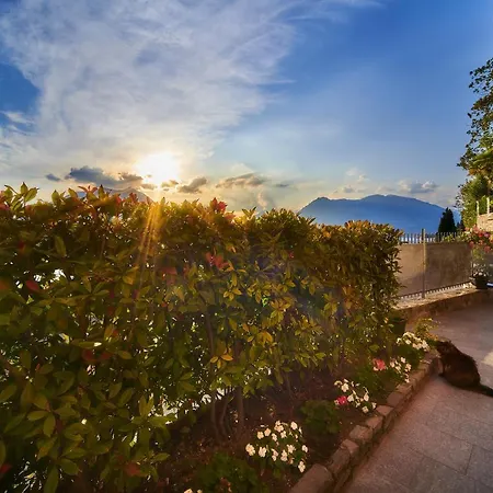 아파트 El Lavandee *