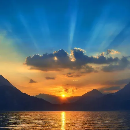 Apartman El Lavandee