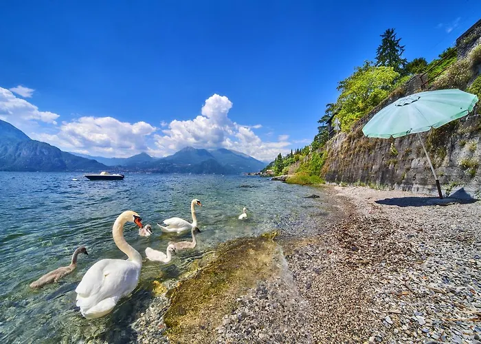 Lägenhet El Lavandee