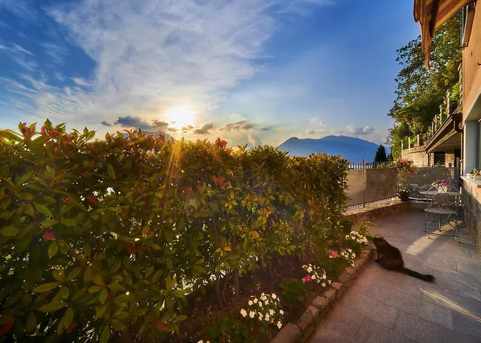 Lägenhet El Lavandee *